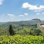 Casa Antico Roseto With Swimming Pool * Castellina in Chianti